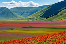 Floraciones en Italia: una paleta de colores 